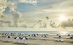 Flagler Club Rooms & Suites Palm Beach, Florida - United States Of America