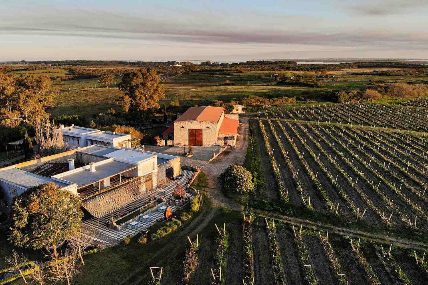 Narbona Wine Lodge Carmelo - Uruguay