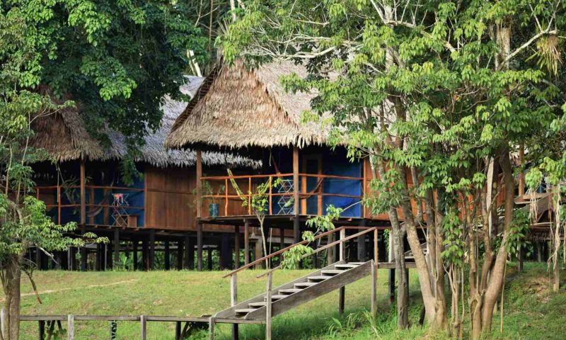 Amazon Muyuna Lodge - Peru