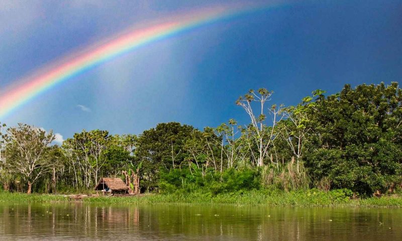Amazon Muyuna Lodge - Peru