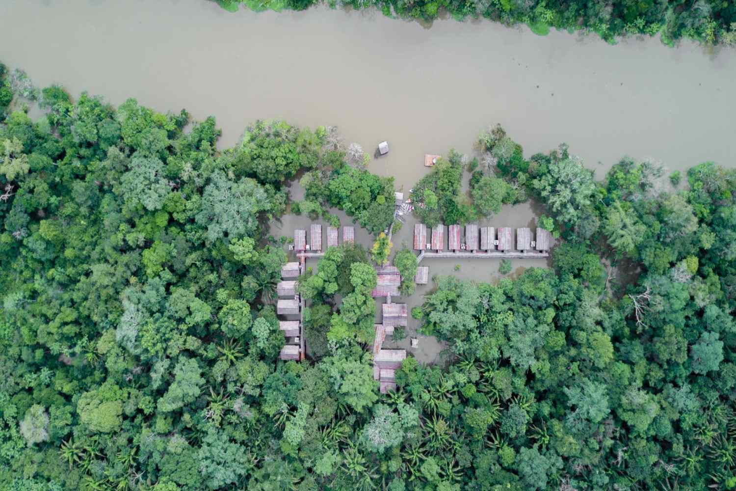 Amazon Muyuna Lodge - Peru