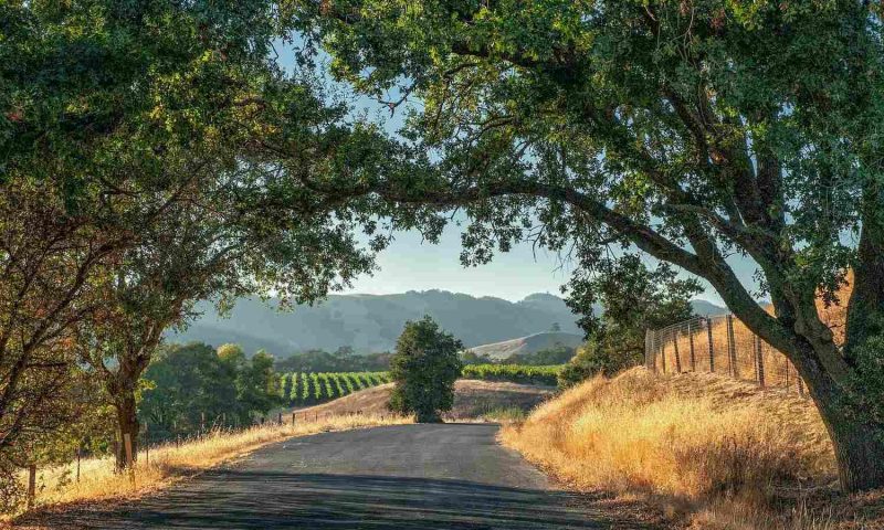 Harmon Guest House Healdsburg, California - United States Of America