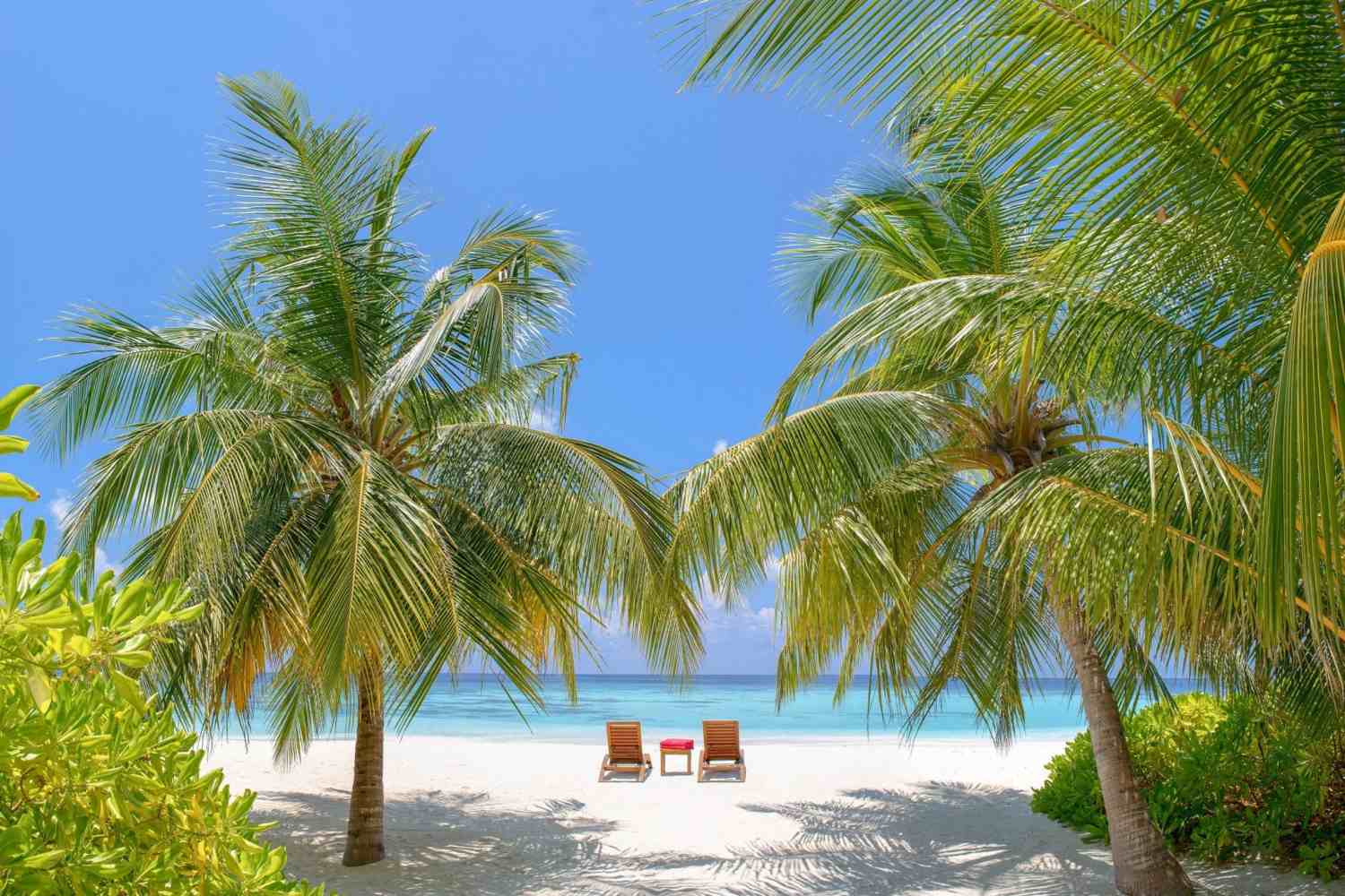 Angsana Ihuru Resort - Maldives