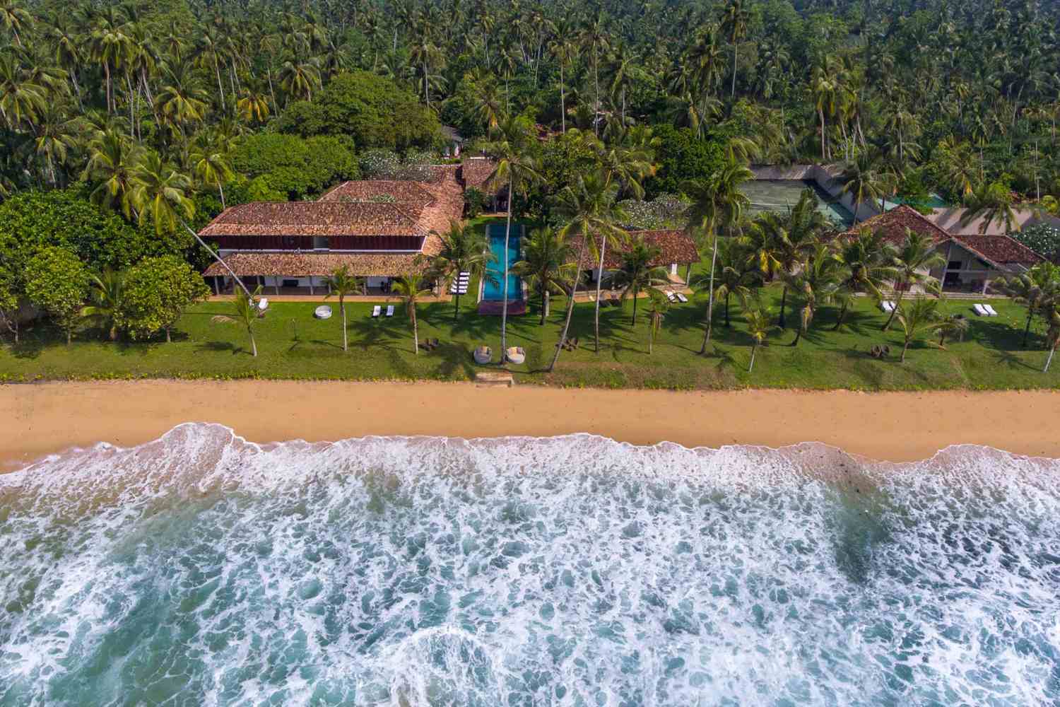 The Frangipani Tree - Sri Lanka