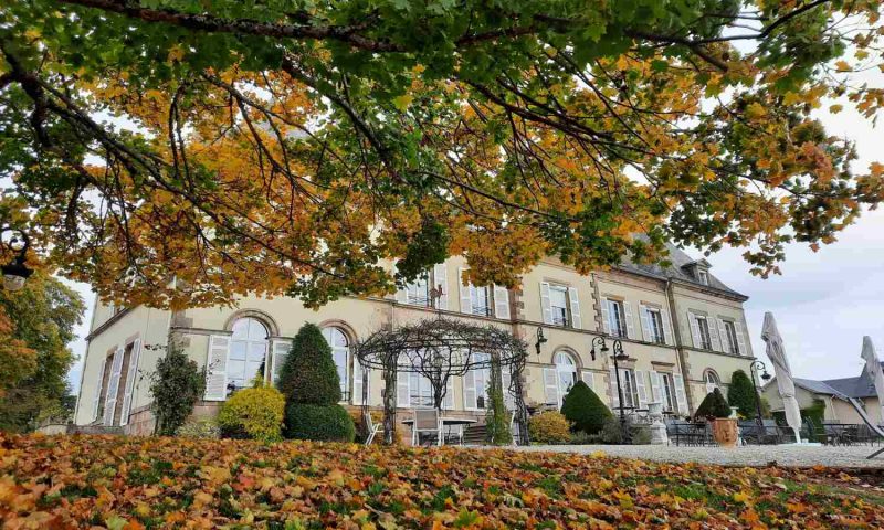 Chateau D