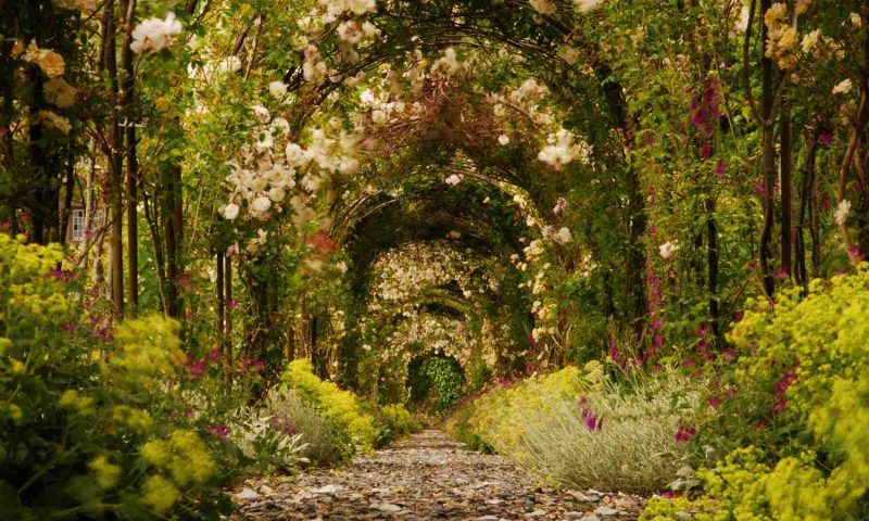 Hotel Endsleigh Tavistock, Venon - England