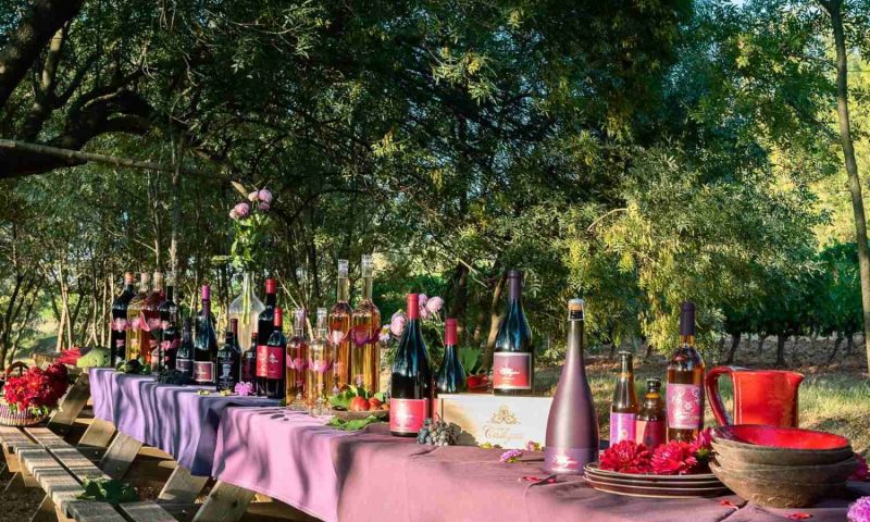 Village Castigno - Wine Hotel & Resort. Languedoc - France
