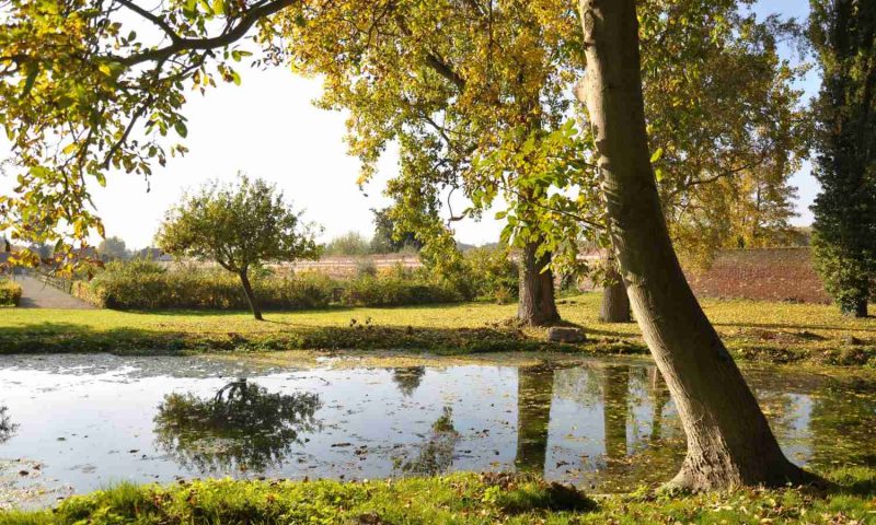 La Chartreuse Du Val Saint Esprit Gosnay, Pas De Calais - France