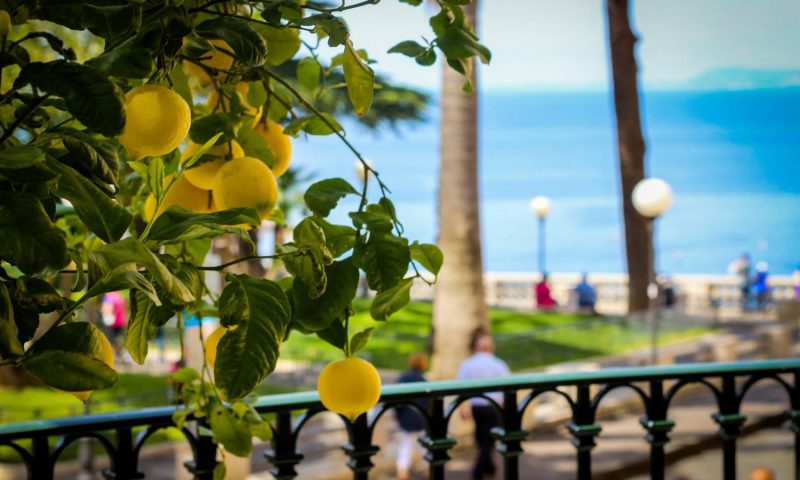 Grand Hotel La Favorita Sorrento, Campania - Italy