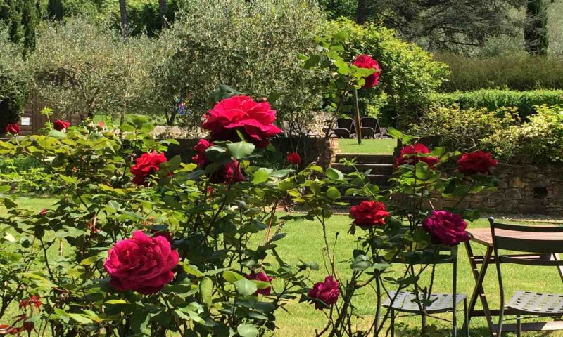 Albergo Villa Marta Lucca, Tuscany - Italy