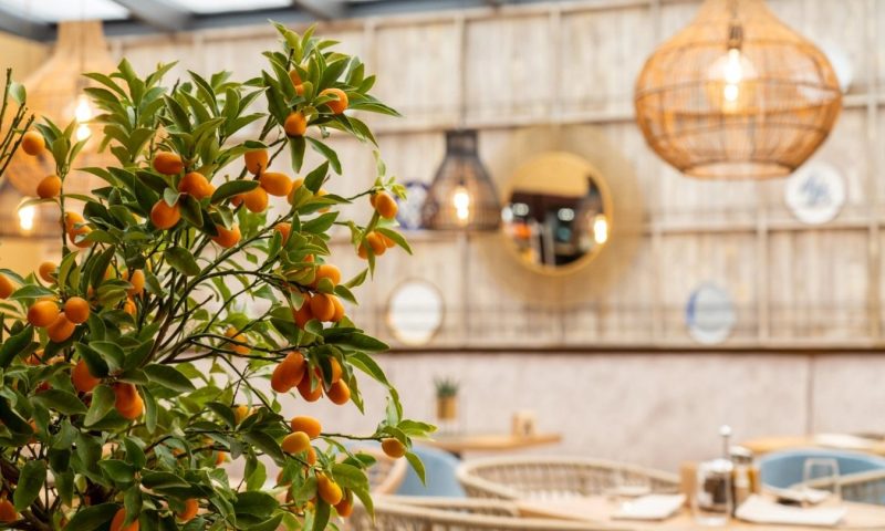 Hotel Residence Promenade Burgas - Bulgaria