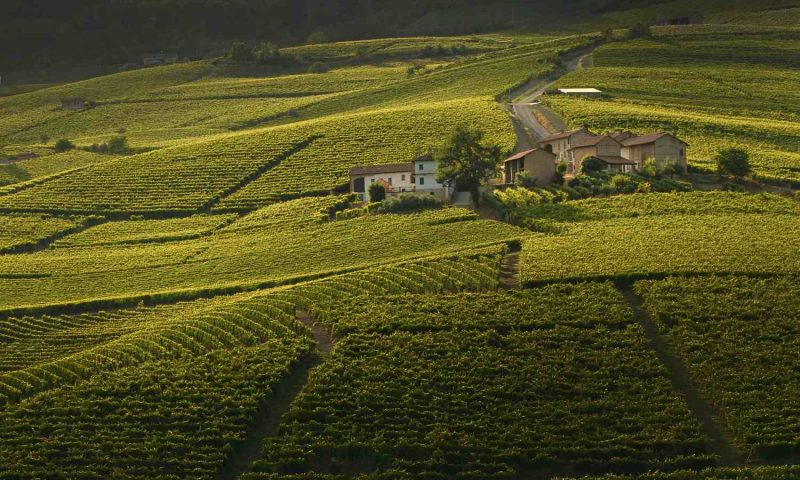 Palas Cerequio Barolo Cru Resort, Piedmont - Italy