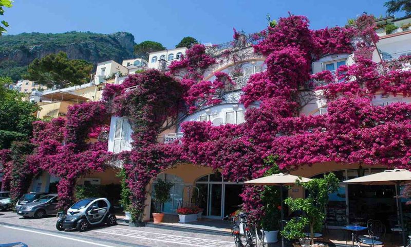 Art Hotel Pasitea Positano, Campania - Italy