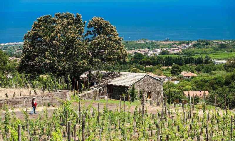 Monaci Delle Terre Nere Etna Wine Resort, Sicily - Italy