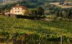 Fattoria Lavacchio Pontassieve, Tuscany - Italy