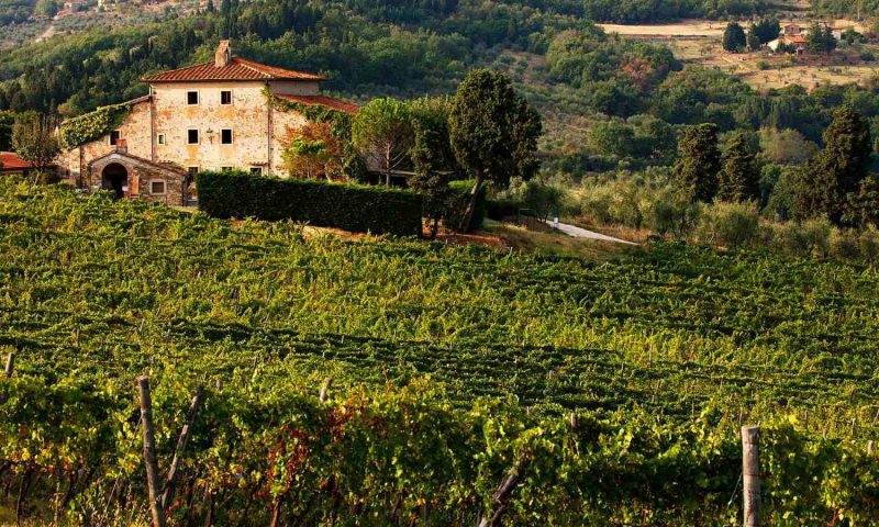 Fattoria Lavacchio Pontassieve, Tuscany - Italy