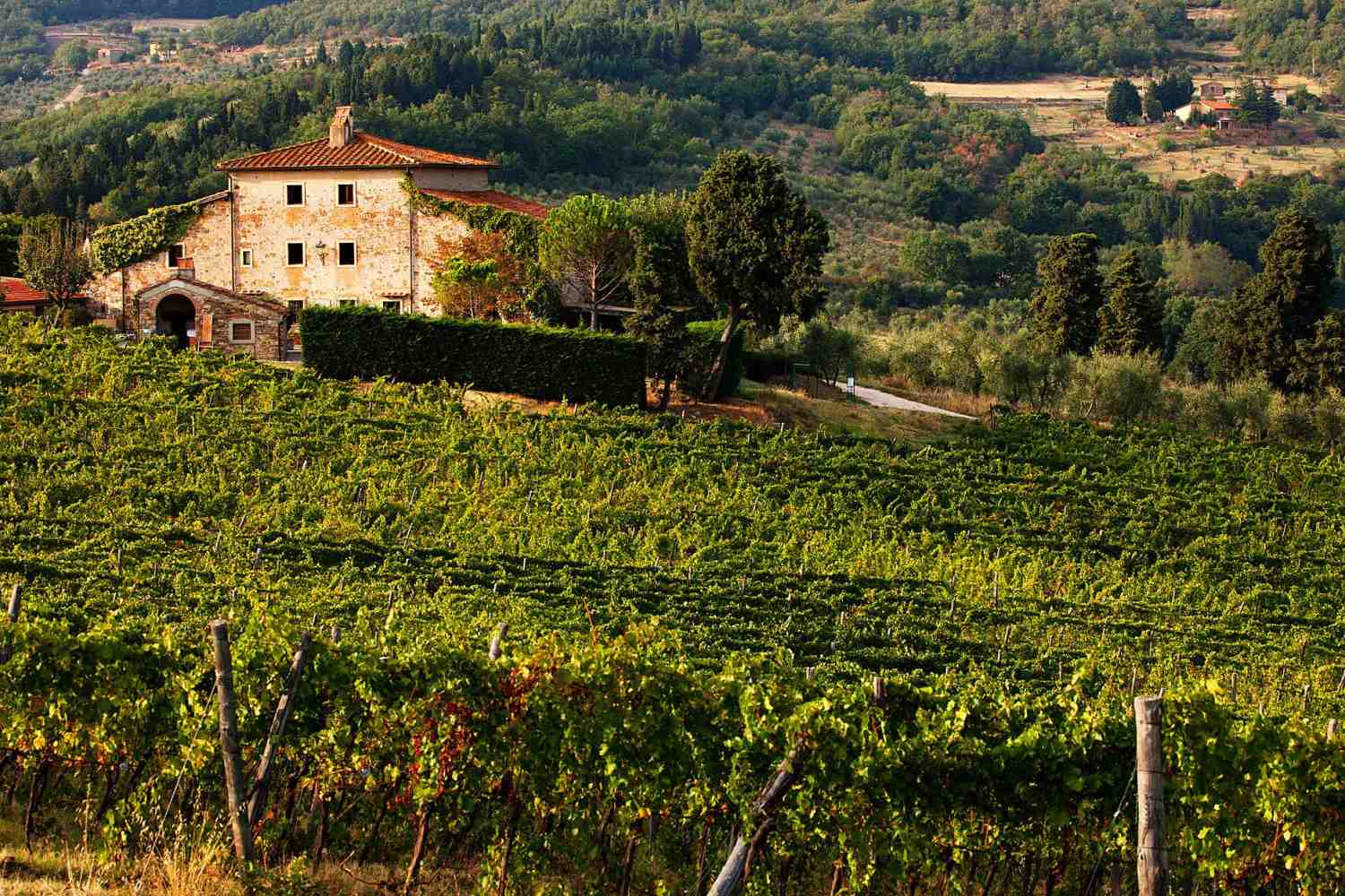 Fattoria Lavacchio Pontassieve, Tuscany - Italy