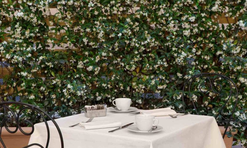 Hotel Degli Artisti Rome - Italy