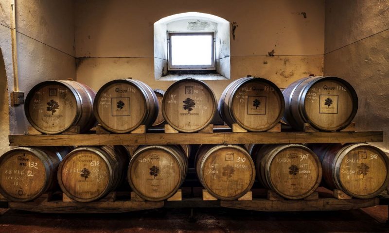 Fattoria Lavacchio Pontassieve, Tuscany - Italy