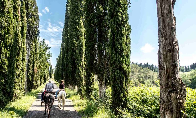Agriturismo Pieve Sprenna Buonconvento, Tuscany - Italy