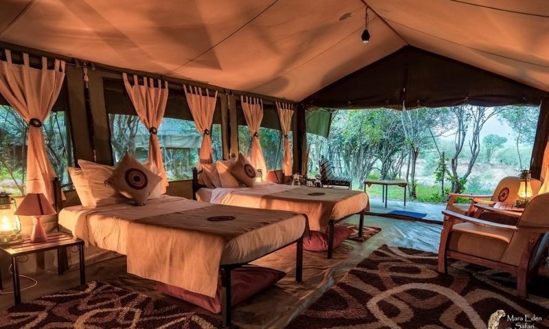 Mara Eden Safari Camp - Kenya