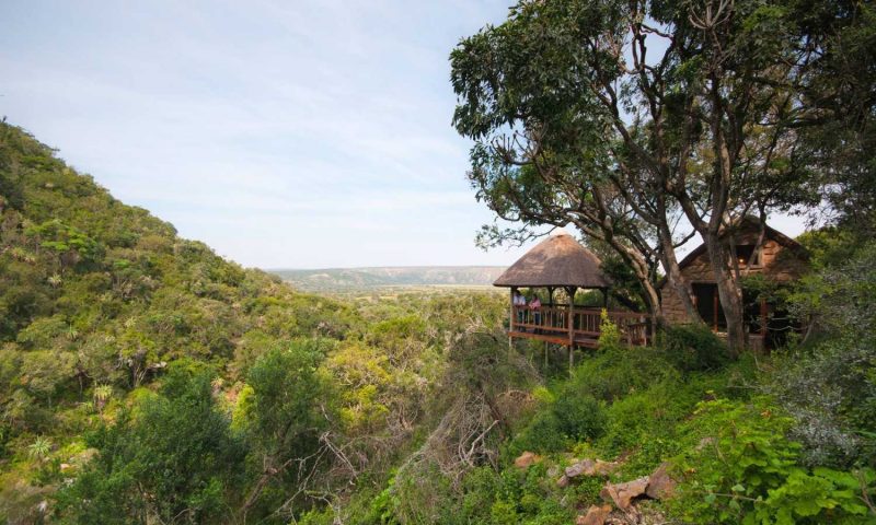Woodbury Lodge – Amakhala Game Reserve, Eastern Cape - South Africa