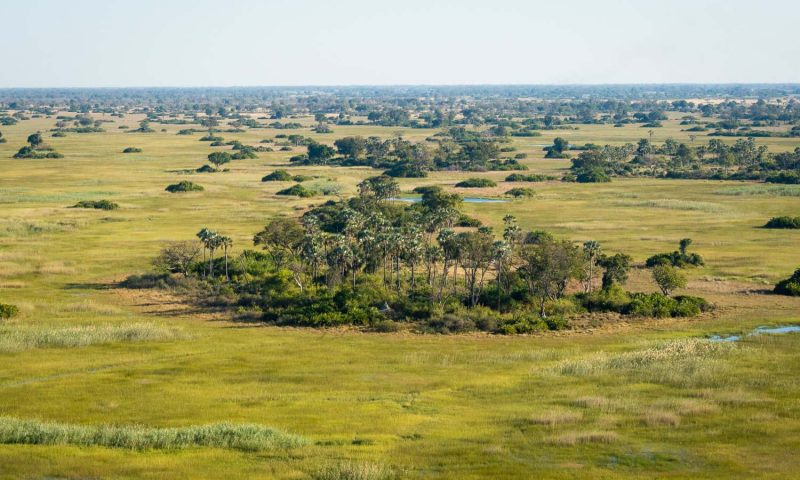 Jao Camp Botswana
