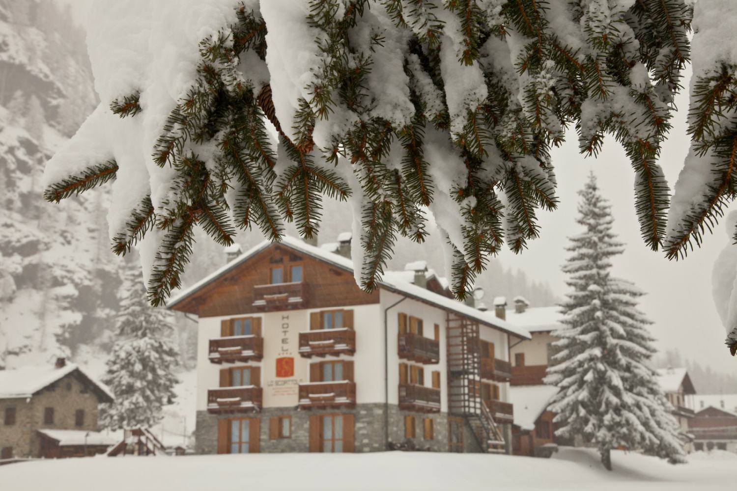 Hotel Lo Scoiattolo Gressoney, Aosta Valley - Italy