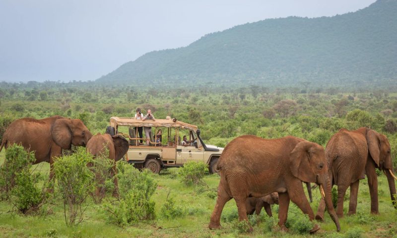 Elephant Bedroom Camp Sumburu - Kenya