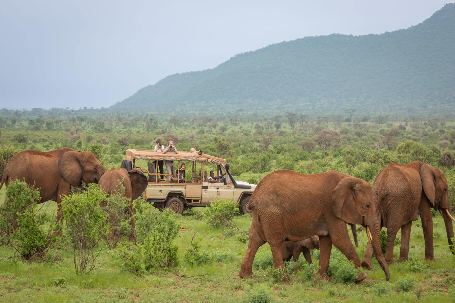 Elephant Bedroom Camp Sumburu - Kenya