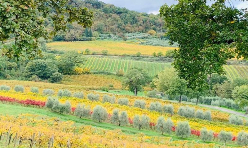 Altarocca Wine Resort Orvieto, Umbria - Italy