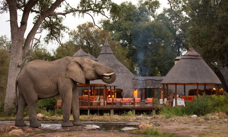 Hoyo Hoyo Safari Lodge, Mpumalanga - South Africa
