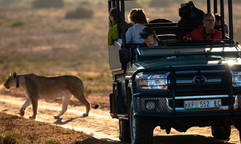 Woodbury Lodge – Amakhala Game Reserve, Eastern Cape - South Africa