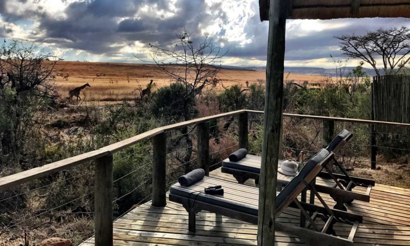 Nambiti Plains Lodge, KwaZulu-Natal - South Africa