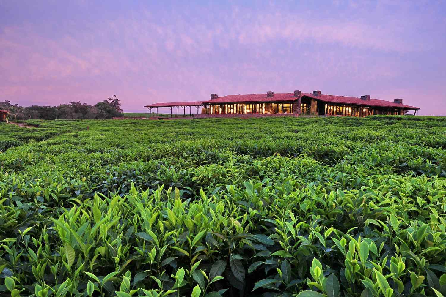 One&Only Nyungwe House - Rwanda