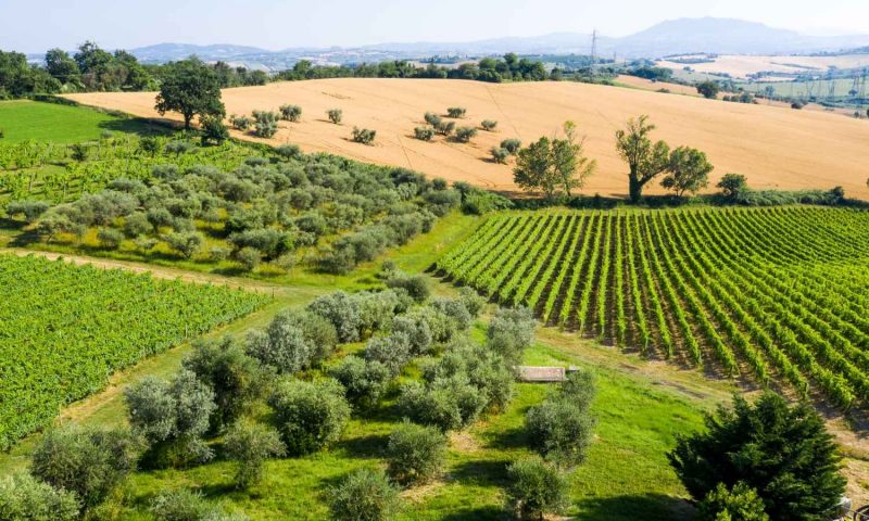 Borgobrufa Spa Resort, Umbria - Italy