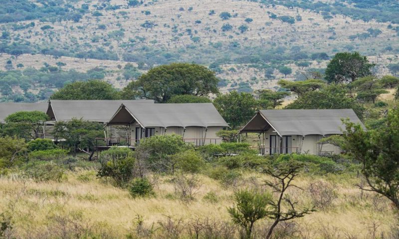 Mavela Game Lodge - South Africa