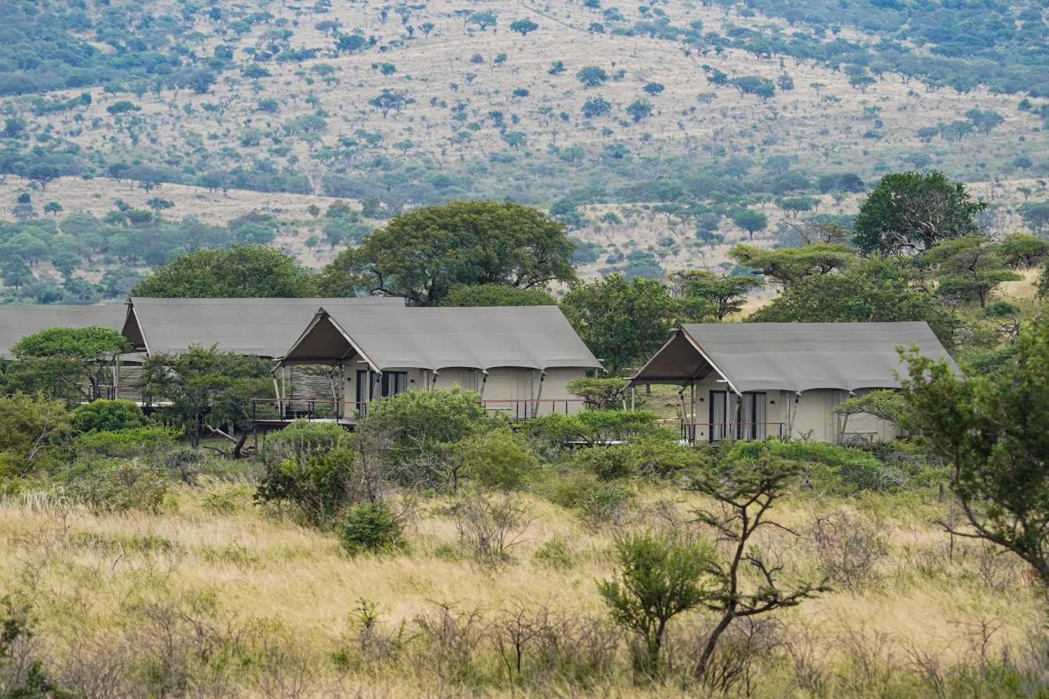 Mavela Game Lodge - South Africa