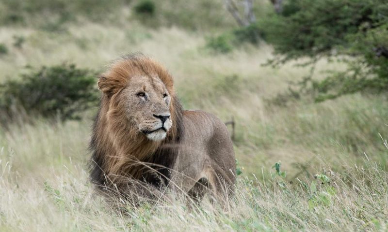 Mavela Game Lodge - South Africa
