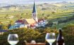 Hotel Landhaus Moserhof Gumpoldskirchen - Austria