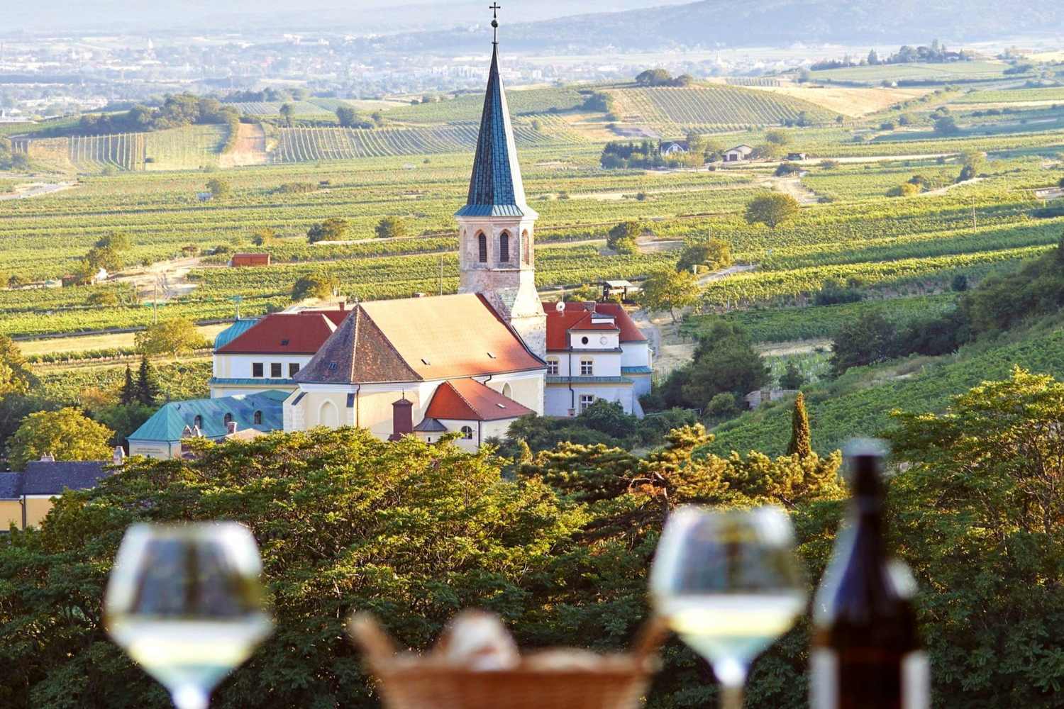 Hotel Landhaus Moserhof Gumpoldskirchen - Austria