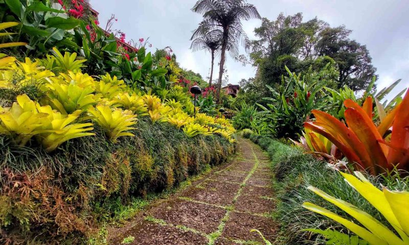 Peace Lodge - Costa Rica