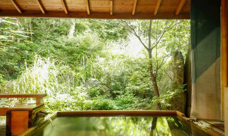 Ryokan Tateshina Ai Nagano, Chubu - Japan