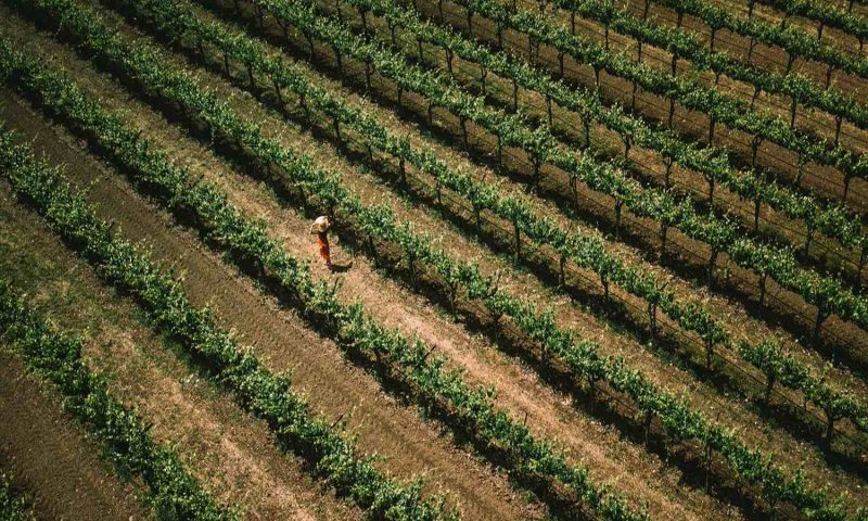 Southbridge Napa Valley, California - United States Of America