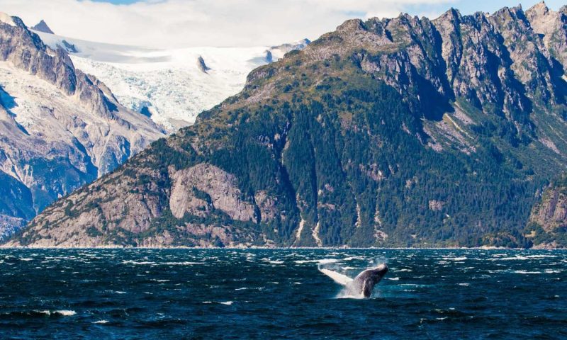 Soaring Eagle Lodge Alaska - United States Of America