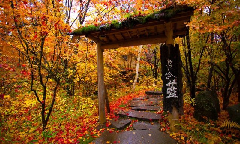 Ryokan Tateshina Ai Nagano, Chubu - Japan
