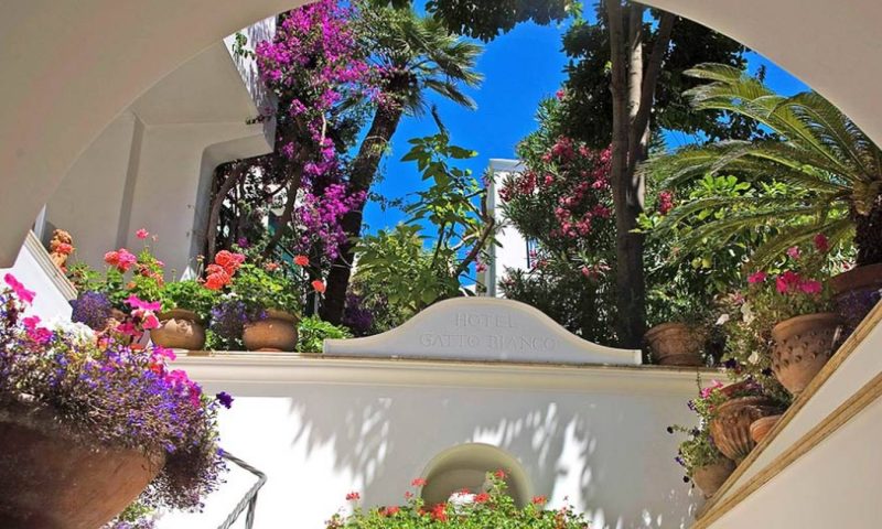 Albergo Gatto Bianco Capri - Italy
