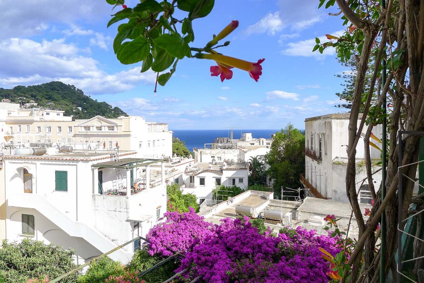 Albergo Gatto Bianco Capri - Italy