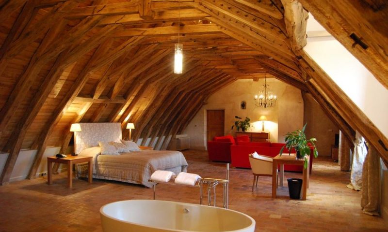 Chateau des Arpentis Saint Regie, Loire Valley - France