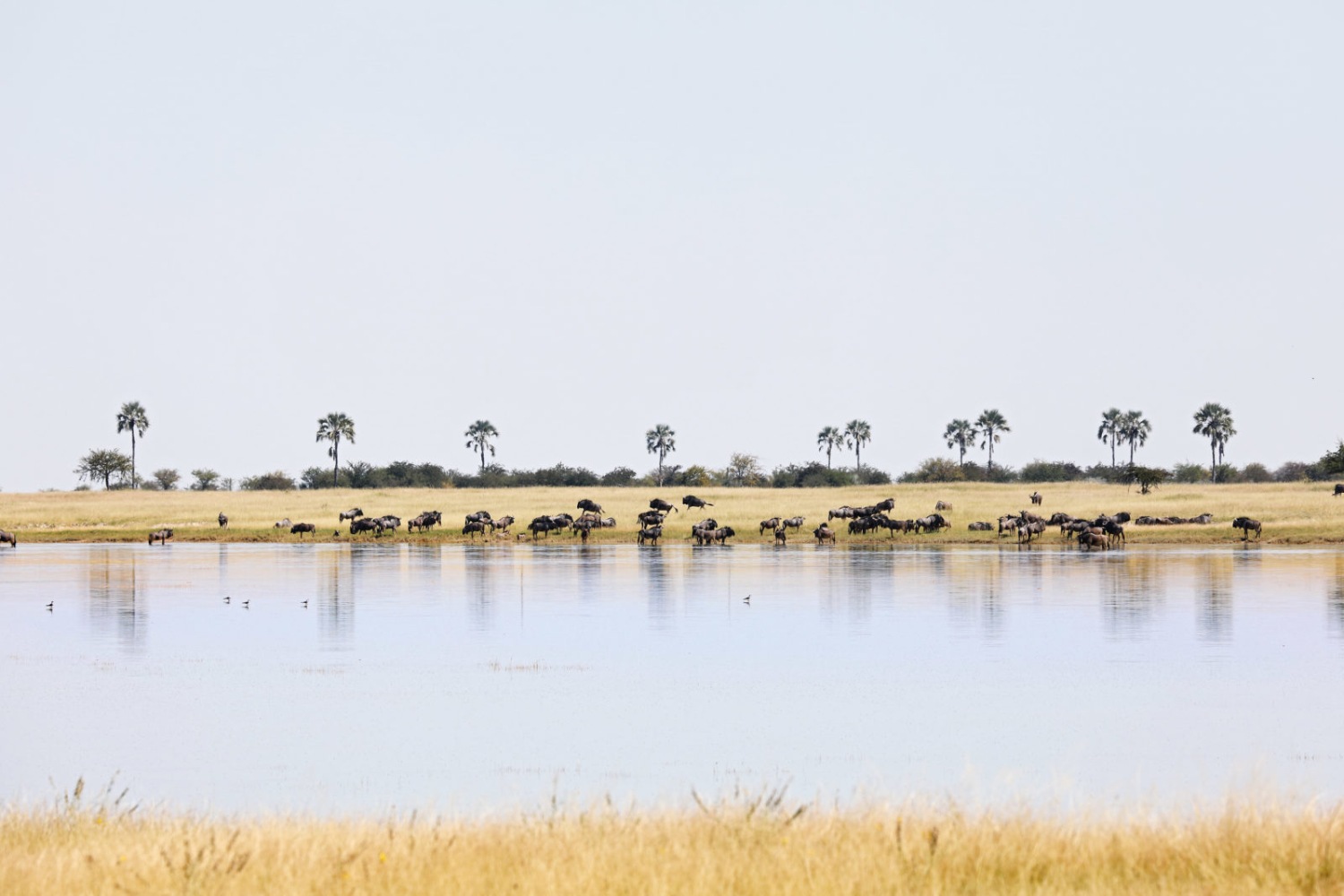 San Camp Botswana